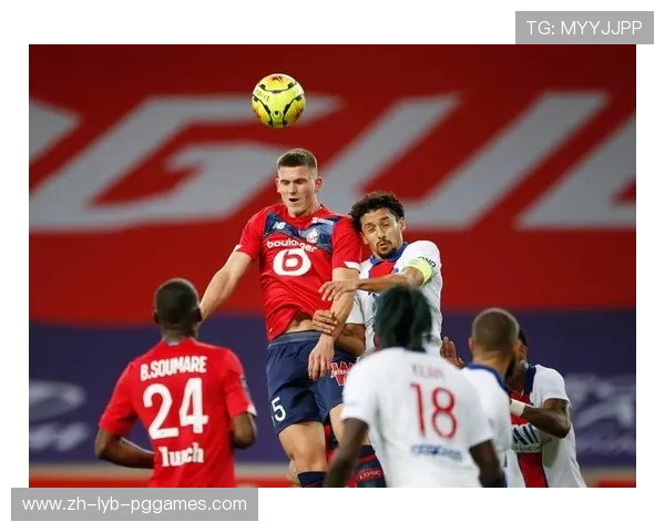 法甲里尔球队的实力分析与排名表现