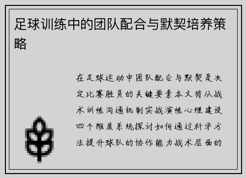 足球训练中的团队配合与默契培养策略