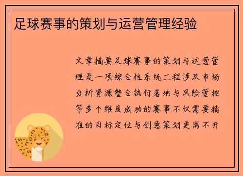 足球赛事的策划与运营管理经验